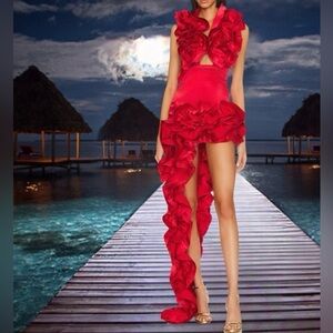 Ruby Red Luxury One Piece Swimsuit Set & Skirt Evening Gown Set